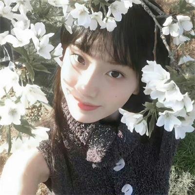 86 -不存在的战区-